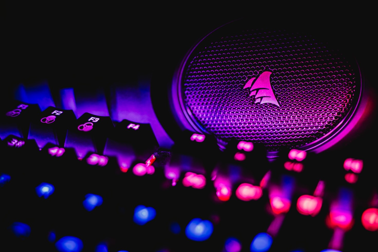 Jiadalma: Eine moderne Vision auf Twitch